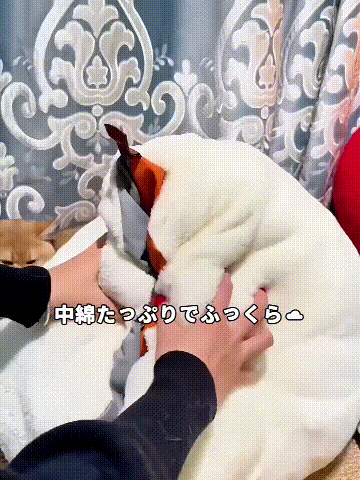 TikSave.io_76943606755888402.gif