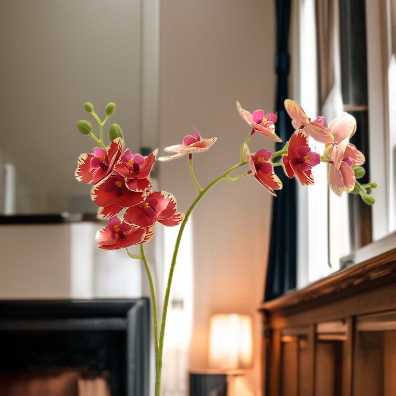 蝴蝶蘭盆景仿真花