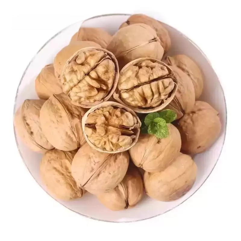 紙の皮付きくるみの自然な外観