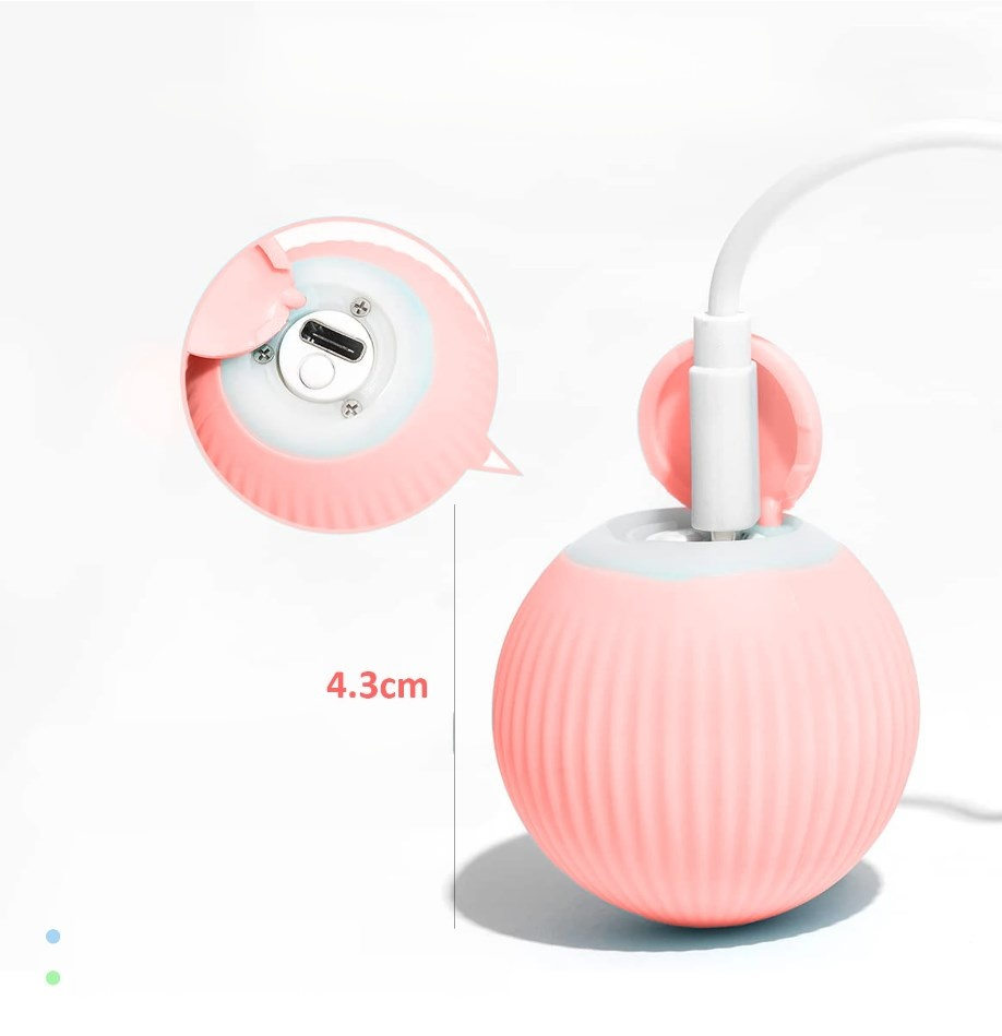 고양이 공 장난감