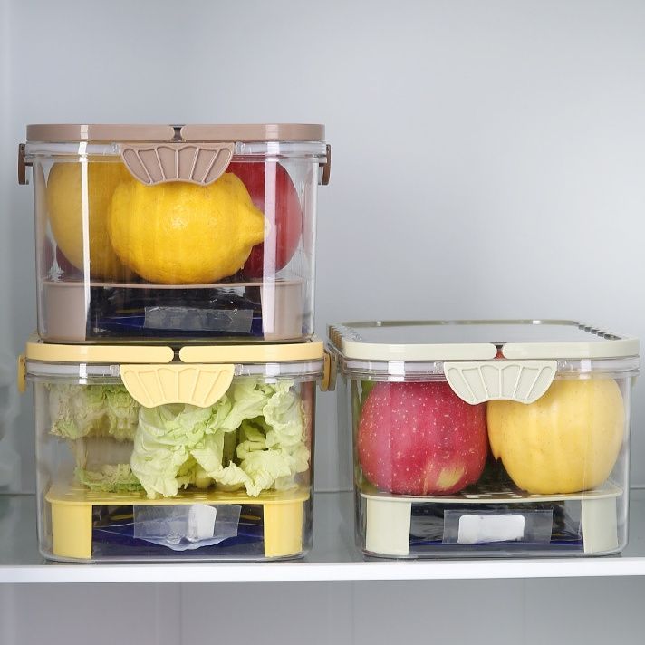 手提野餐水果保鲜盒