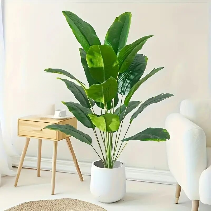 トラベラーズパーム観葉植物鉢植え