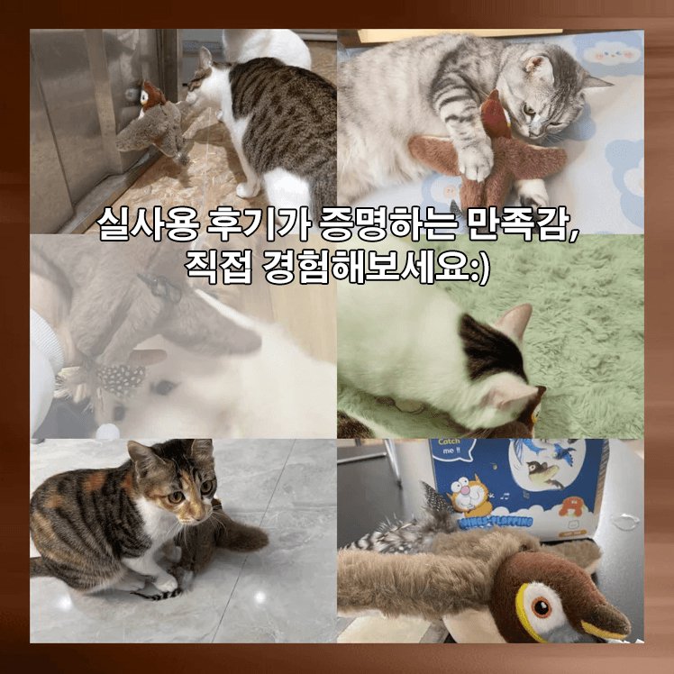 움직이는 고양이 장난감 춤추는새