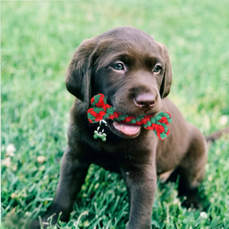 Dog chew and teething rope knots (3-pack)