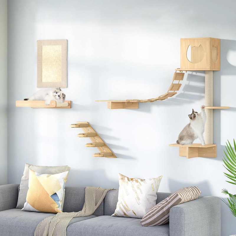 Mocna kotka wspinaczka