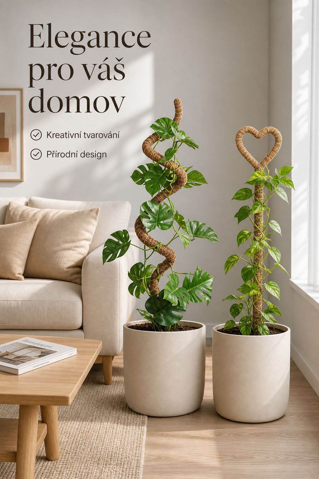 Kokosový opěrný kůl pro monstera