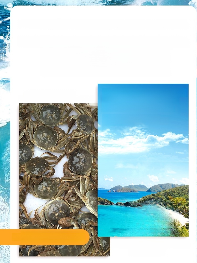 Crispy ready-to-eat small sea crab