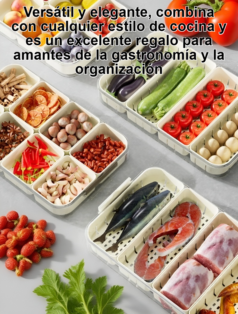 Organizador de especias con compartimentos para frutas y condimentos