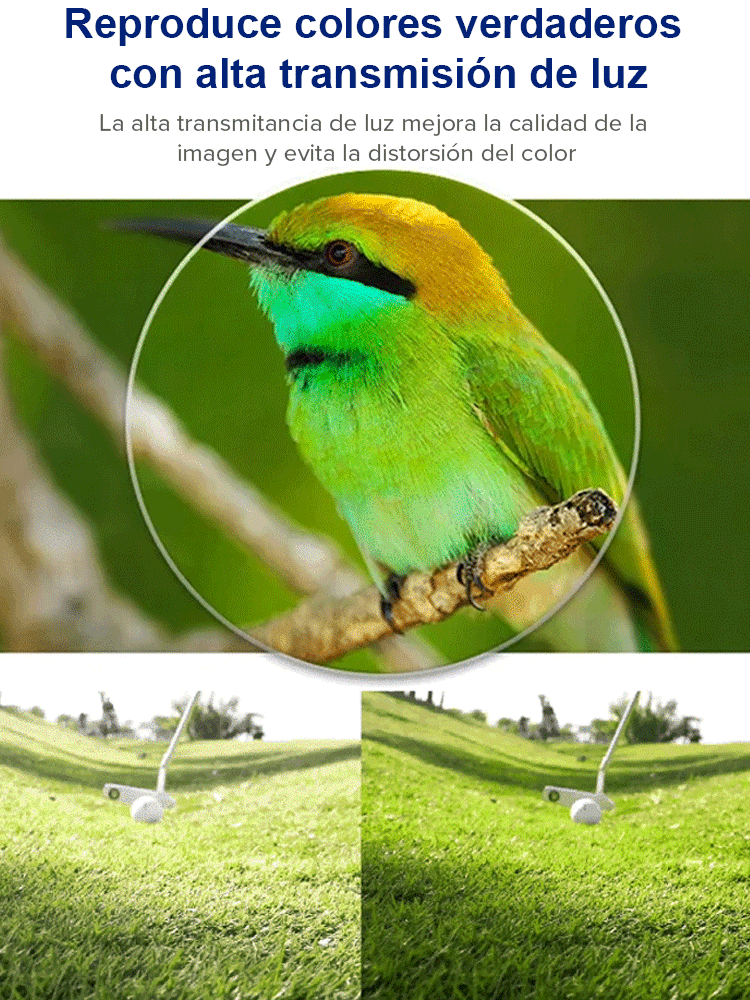 Gafas de lectura anti-luz azul con lentes fotocromáticas