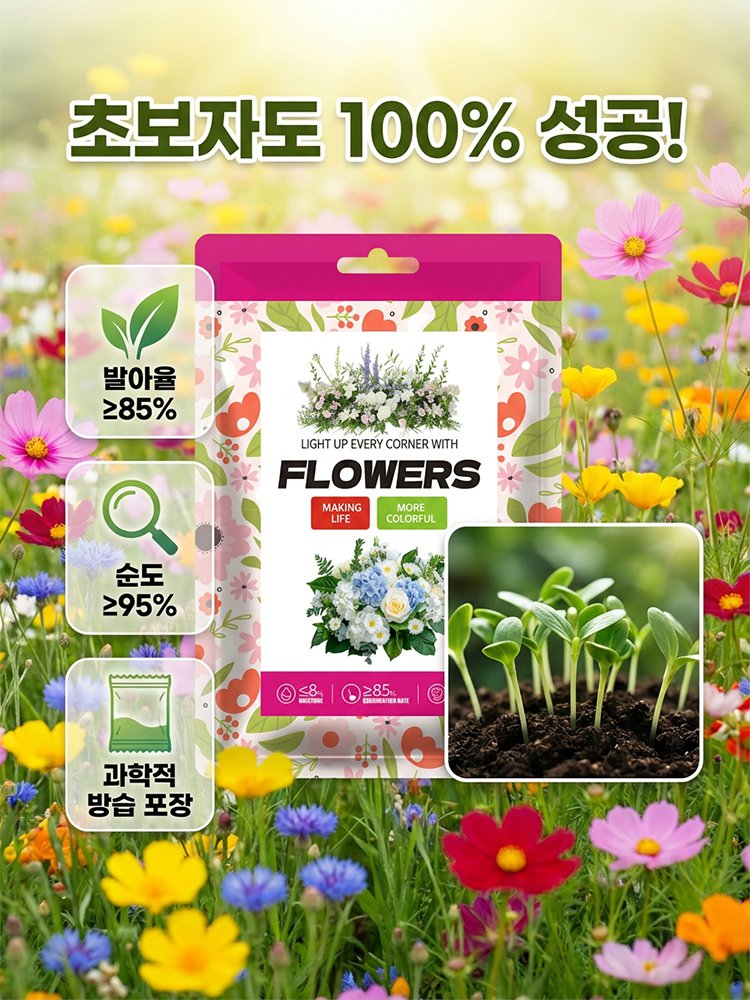 사계절 개화 혼합 색상 꽃씨, 연중 피어나는 꽃, 시들지 않아요!