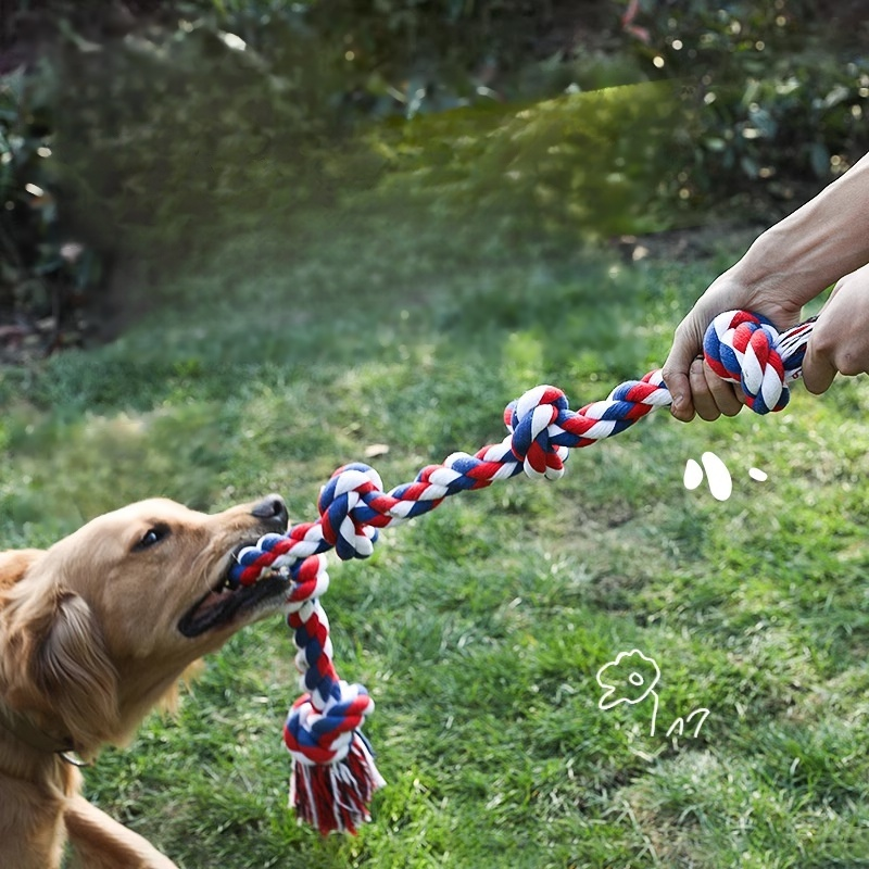 Sturdy Pet Chew Ball Pulling Toy