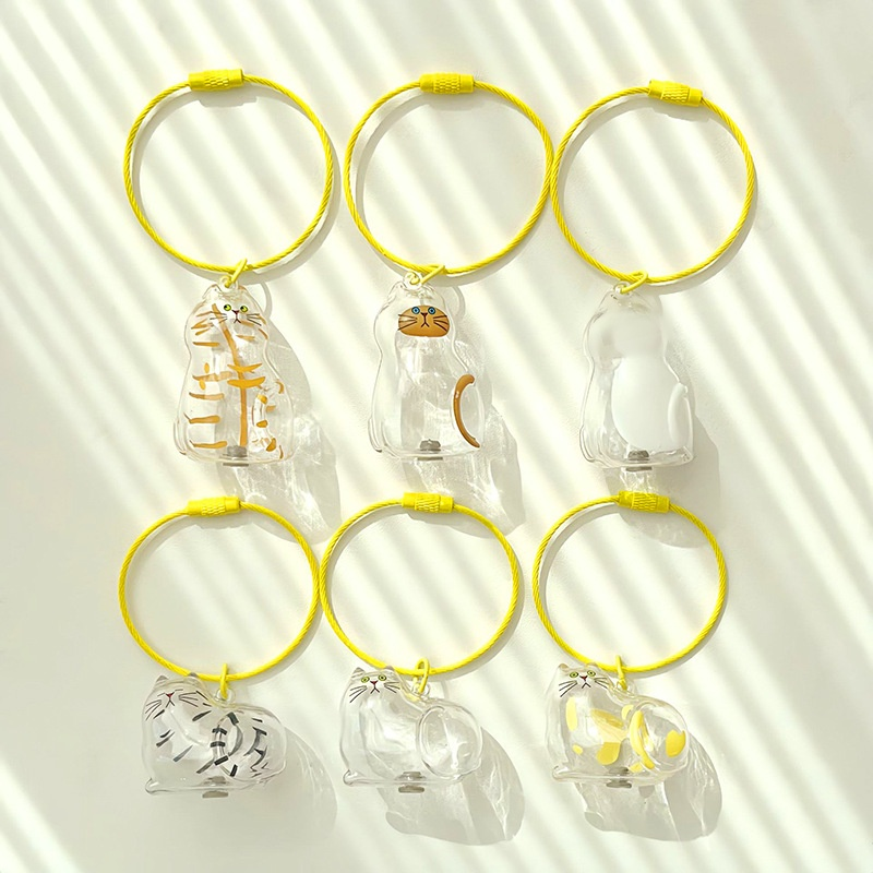 Porte-clés bouteille transparente de conservation de poils, souvenir pour animaux