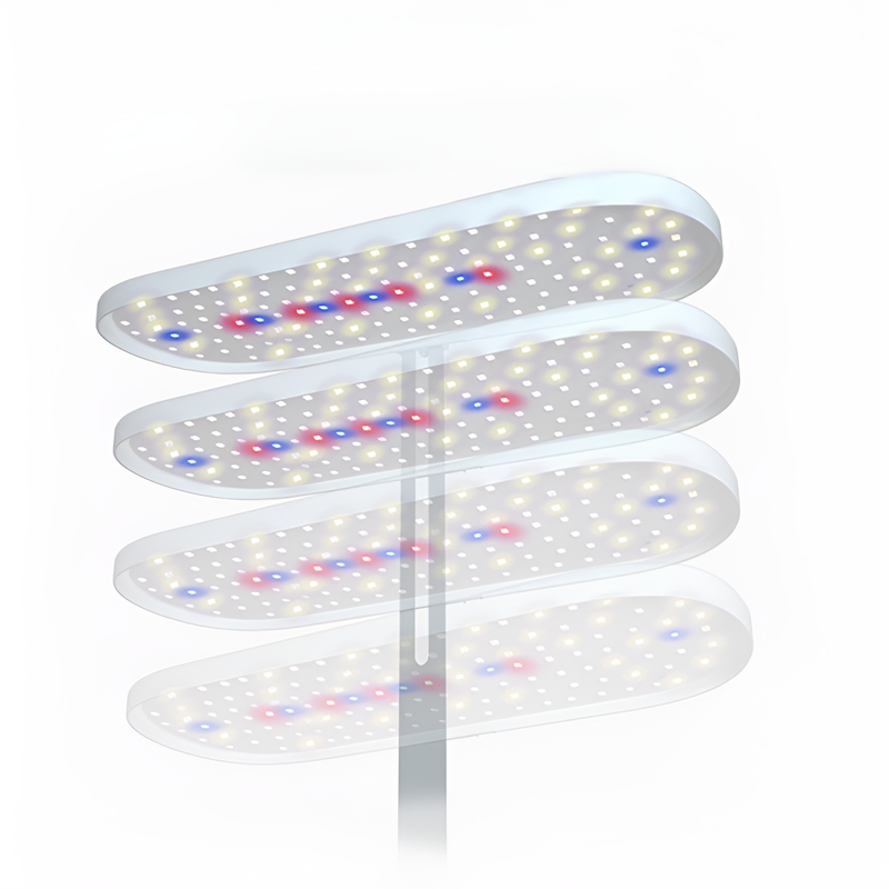 Adjustable Brightness Succulent Grow Light with Timer