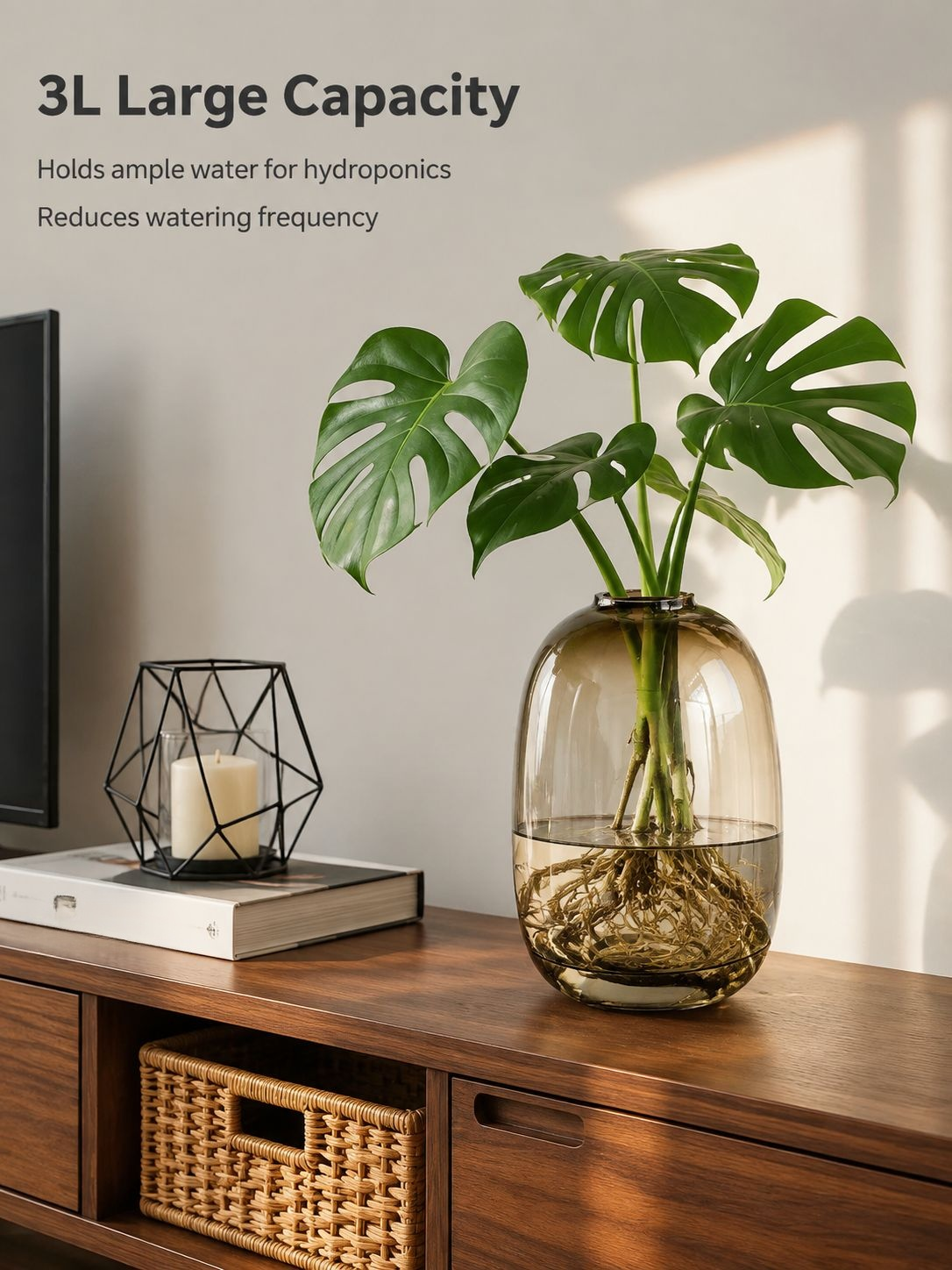 Clear glass hydroponic plant pot displaying plant roots