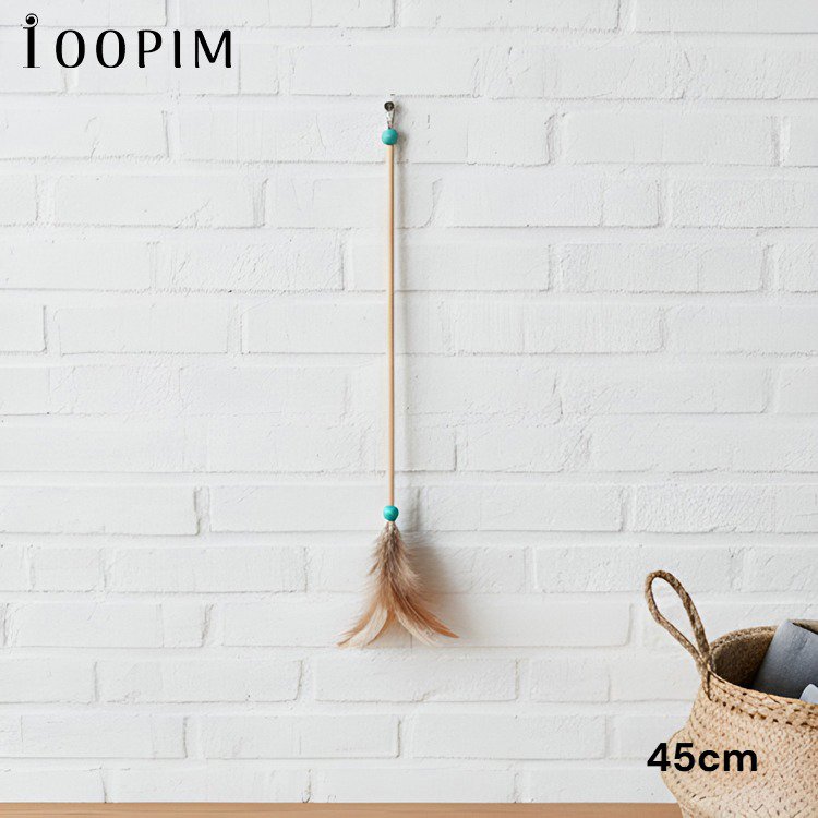 แมวเล่นของเล่นขนนกเพื่อความสนุก