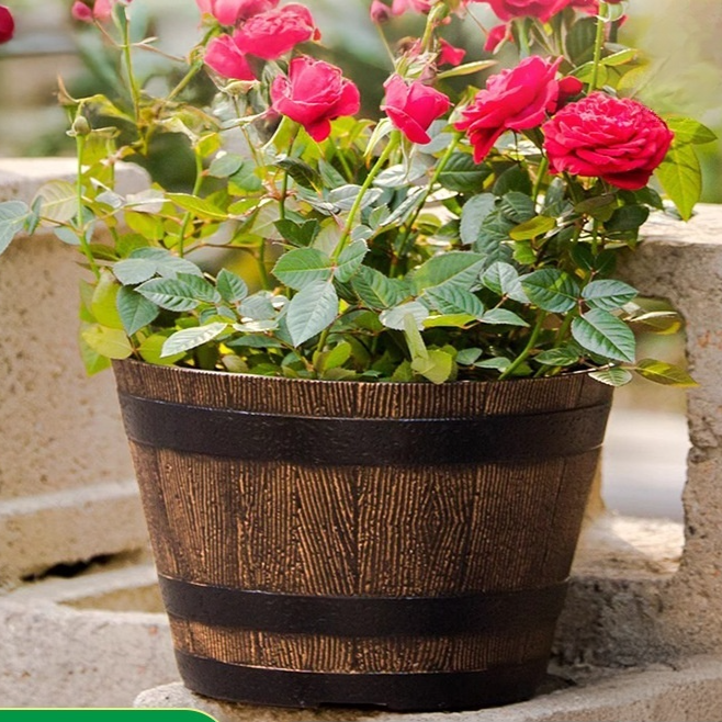 Thickened wooden barrel flower pot