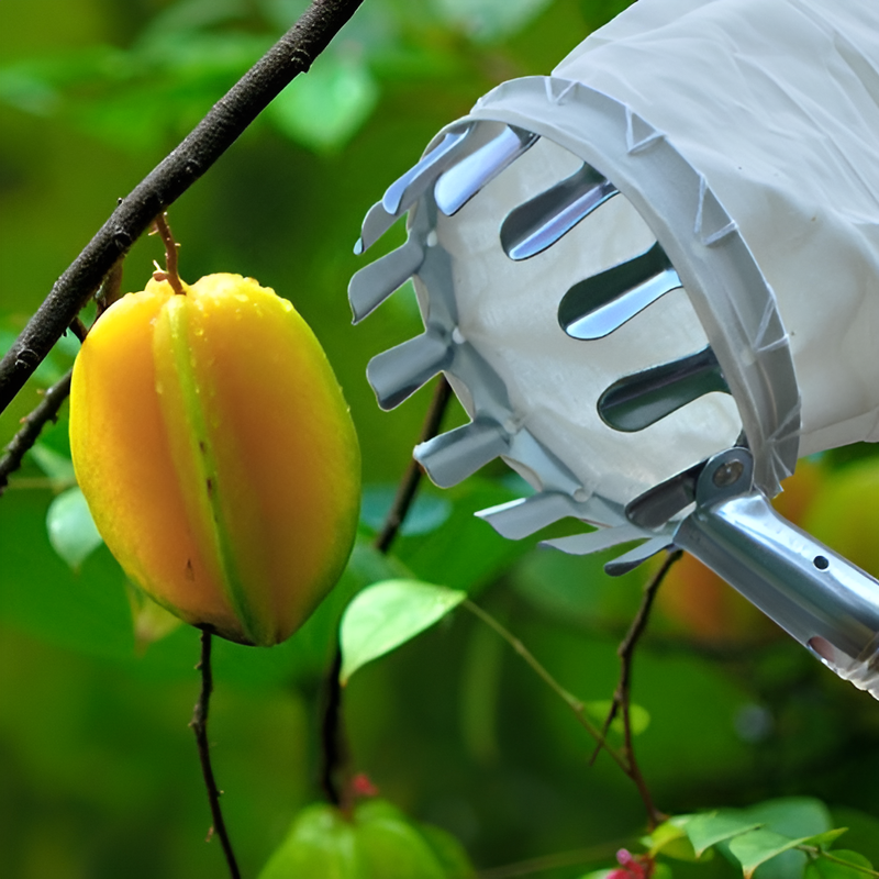 伸縮ポール式フルーツピッカー