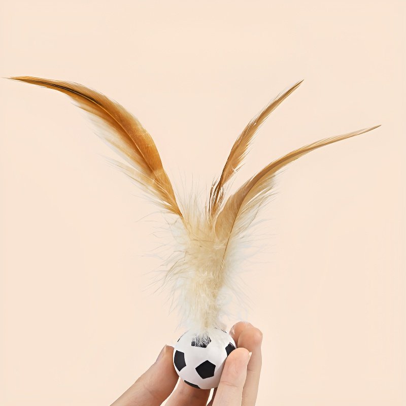 Balle à plumes rebondissante aléatoire