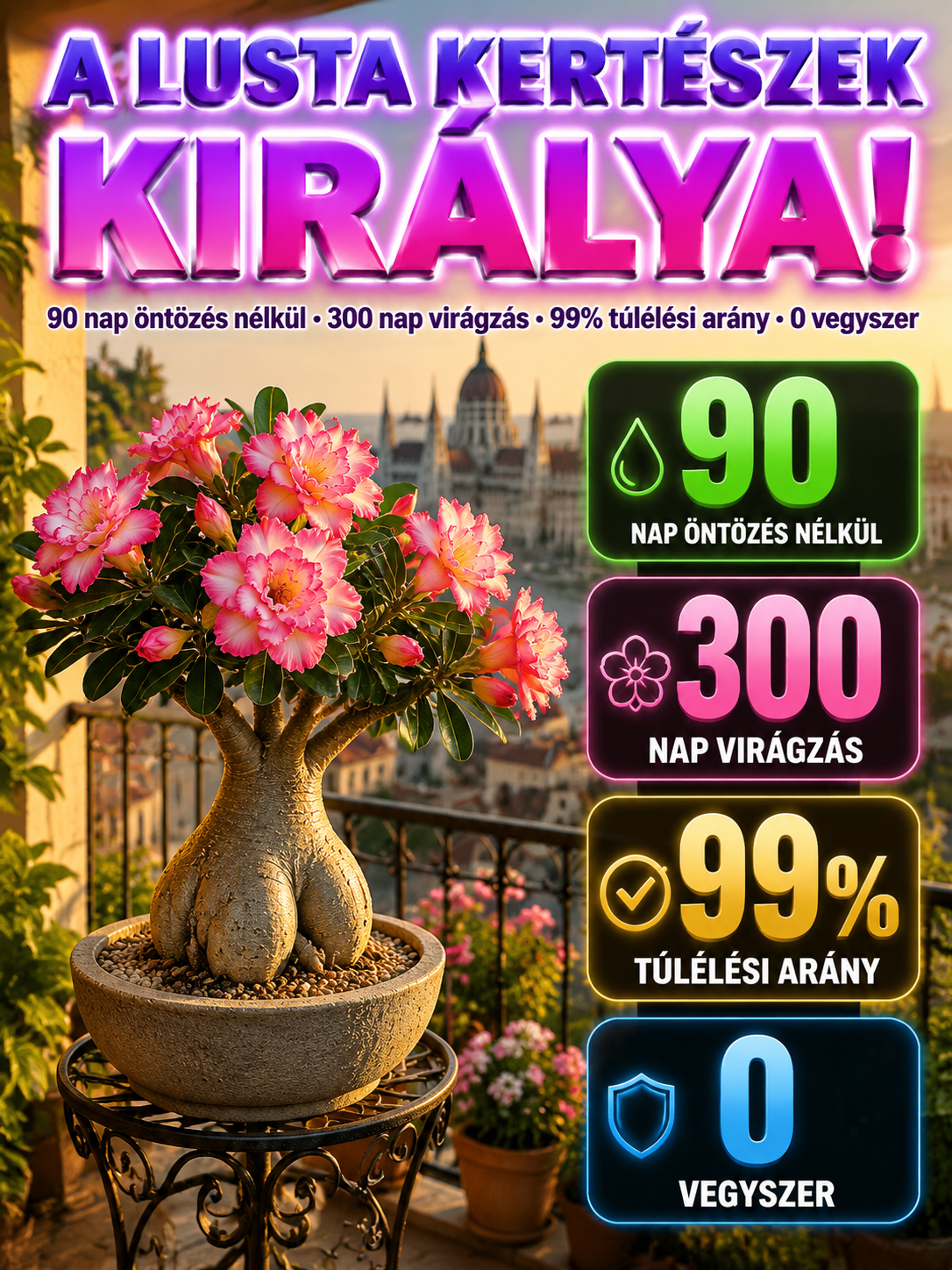  sivatagi rózsa hagyma