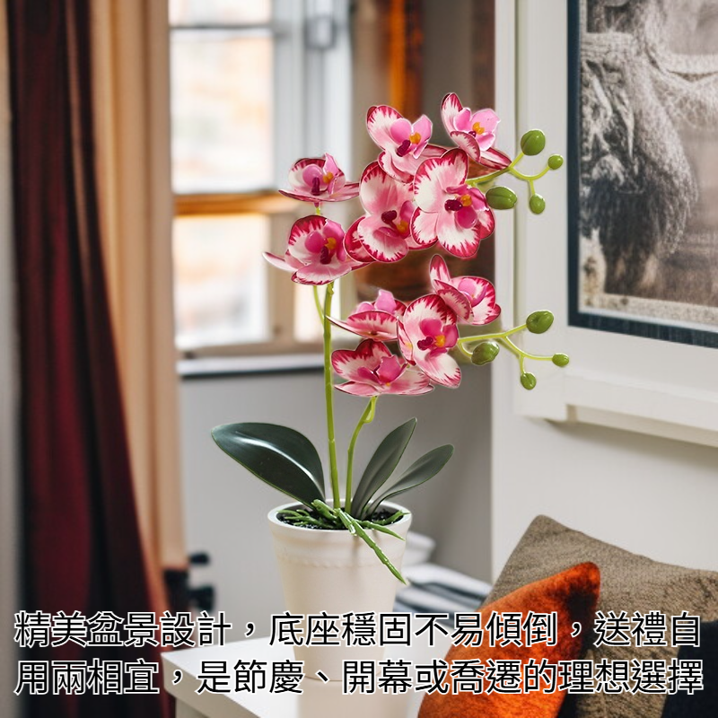 精緻仿真蝴蝶蘭花盆景細節展示