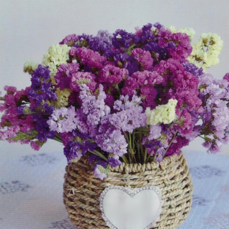 四季の花寄せ植えセット