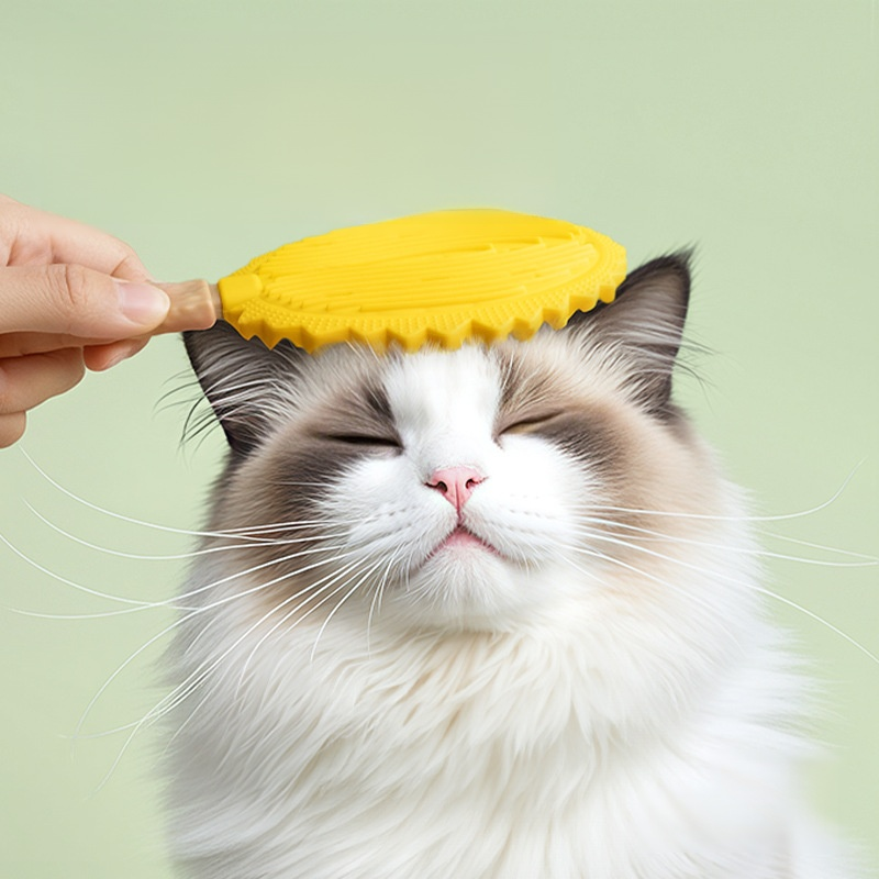 榴槤外觀寵物梳理脫毛刷