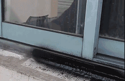 详情图11.gif
