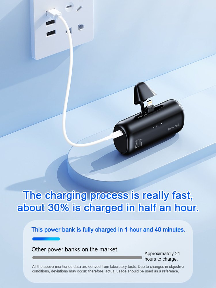 Dual-Port Capsule Power Bank