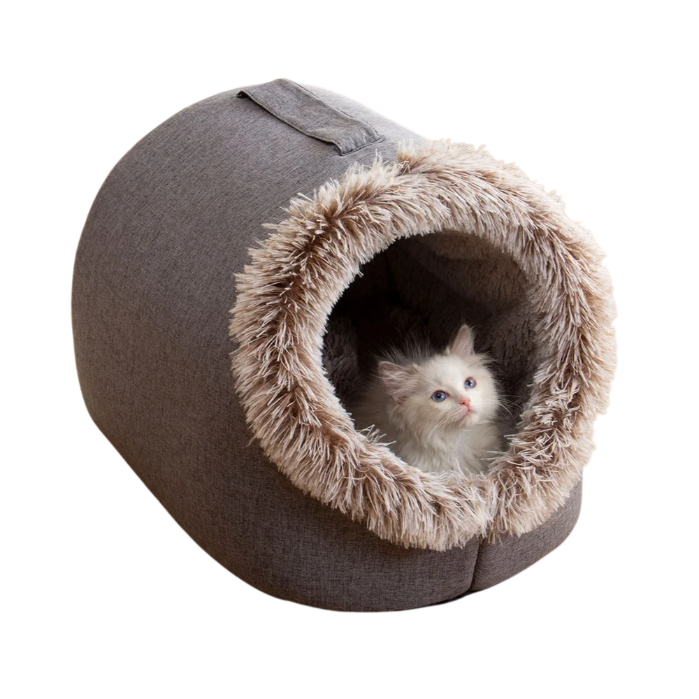 Multifunctional cat and dog house