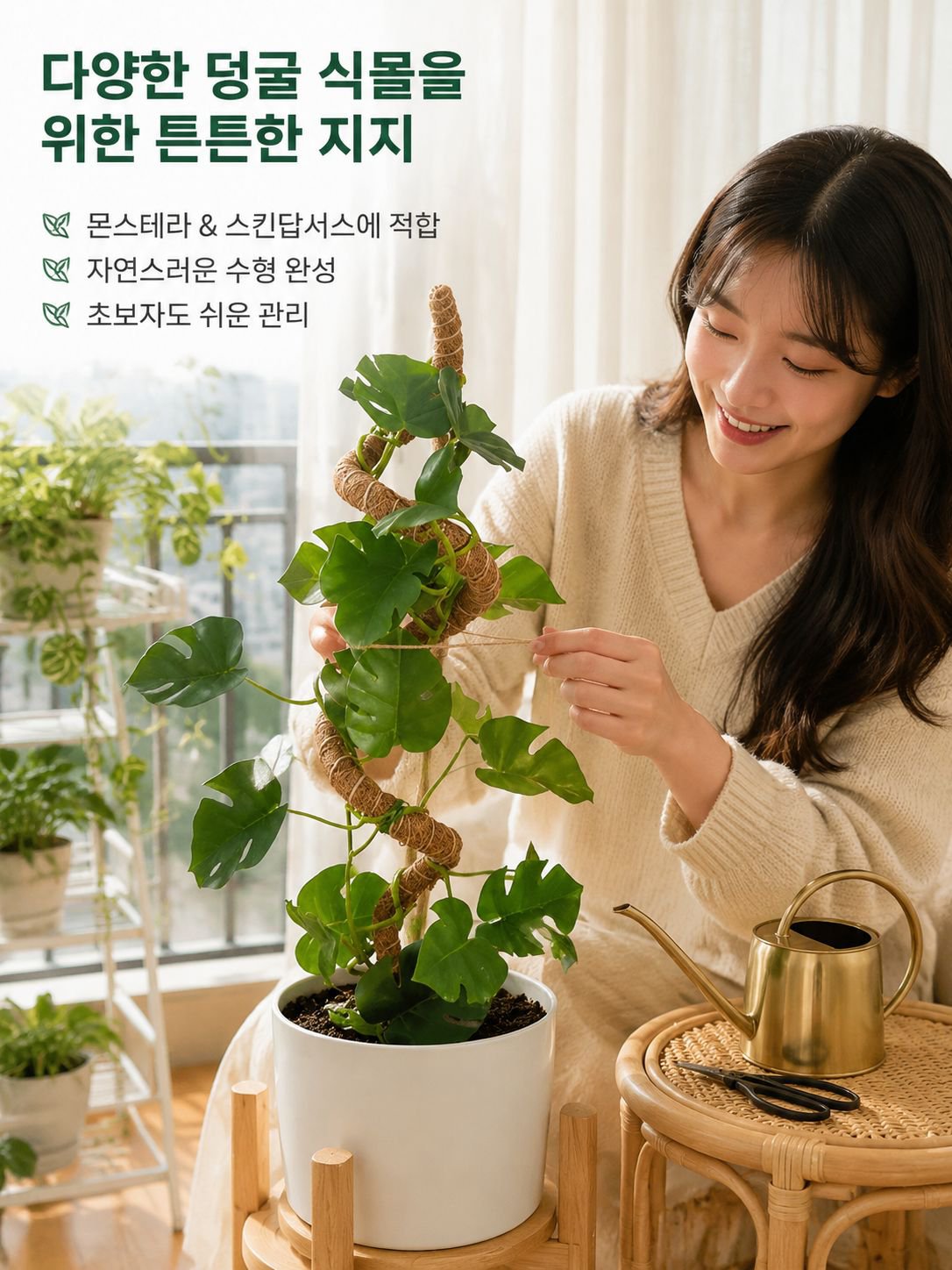 거북등 대나무 지지대 녹나주 고정 지지대 종려주