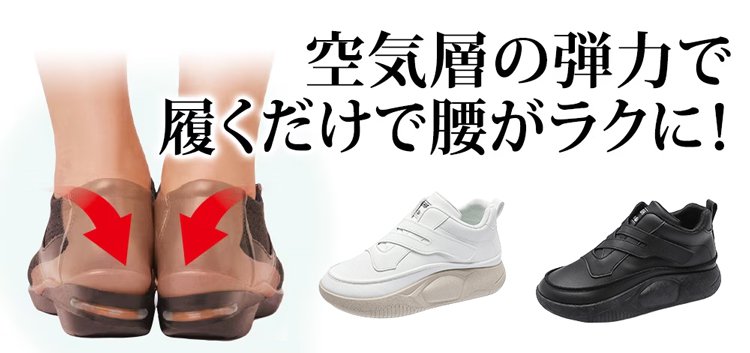 未标题-1.jpg