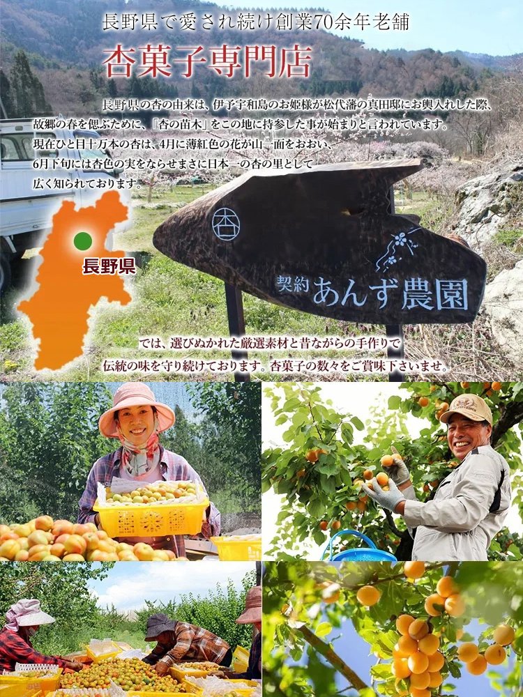 【砂糖不使用のゴールデンアプリコットドライフルーツ】酸味と甘みの絶妙なバランス、栄養豊富でたくさん食べても太りません。