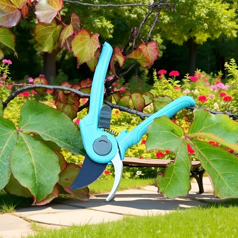 초보자도 쉽게 키울 수 있는 분재 세트