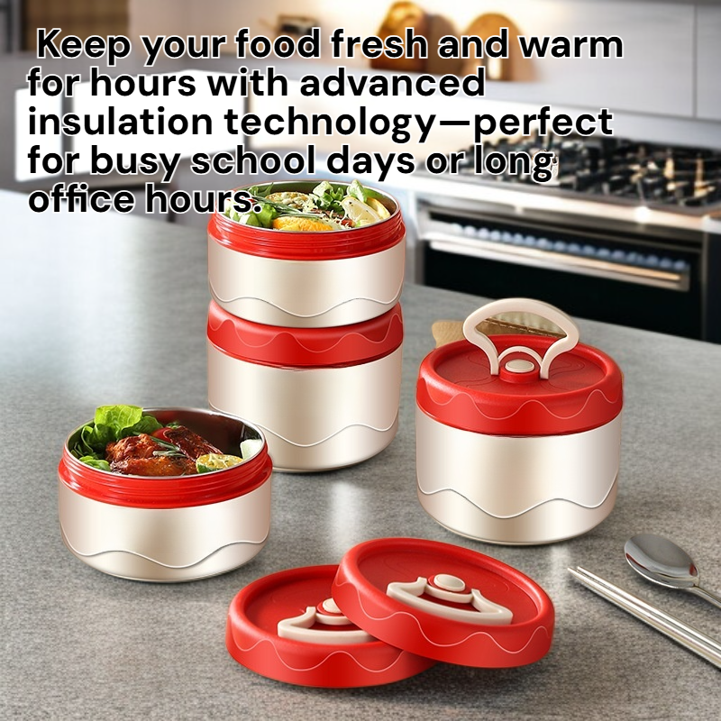 Portable Insulated Lunch Box for Students and Office Workers