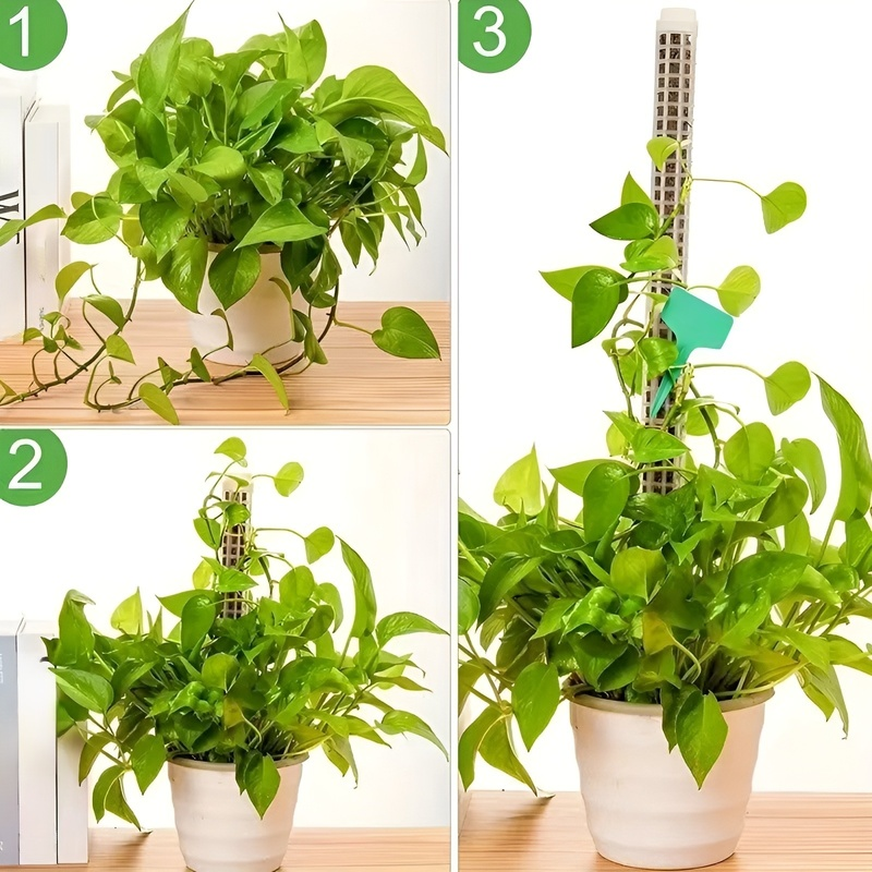 絡み合う苔ココナッツ繊維スティック