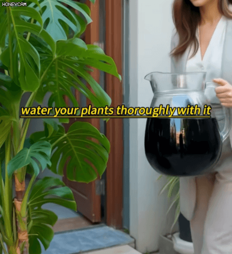 Honeycam 2026-01-20 14-58-46.gif