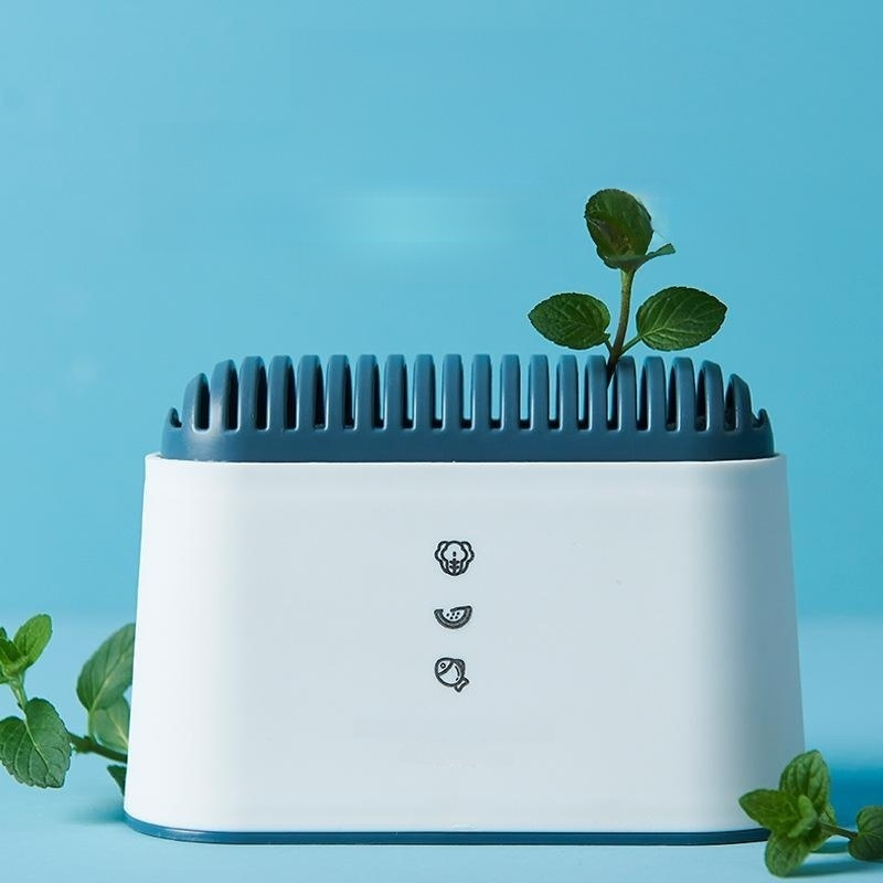 Refrigerator Deodorizer
