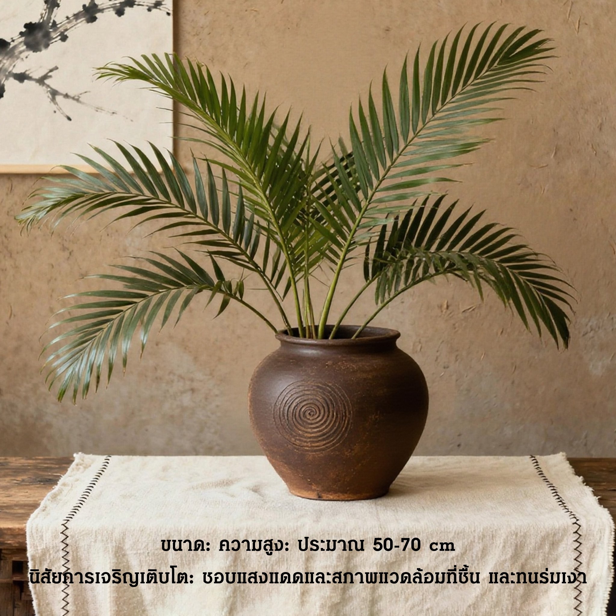 ใบหมากเหลืองสดใสในกระถางสวยงาม