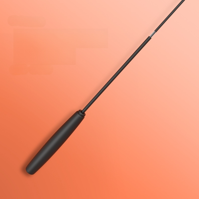 Robuster Feder-Spielstab für Katzen