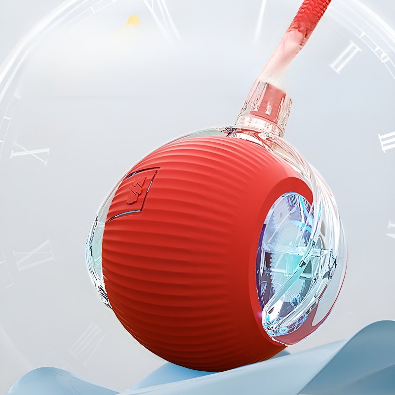 Pour passer le temps, promenez le chat, jouez avec le chien et jouez à la balle.