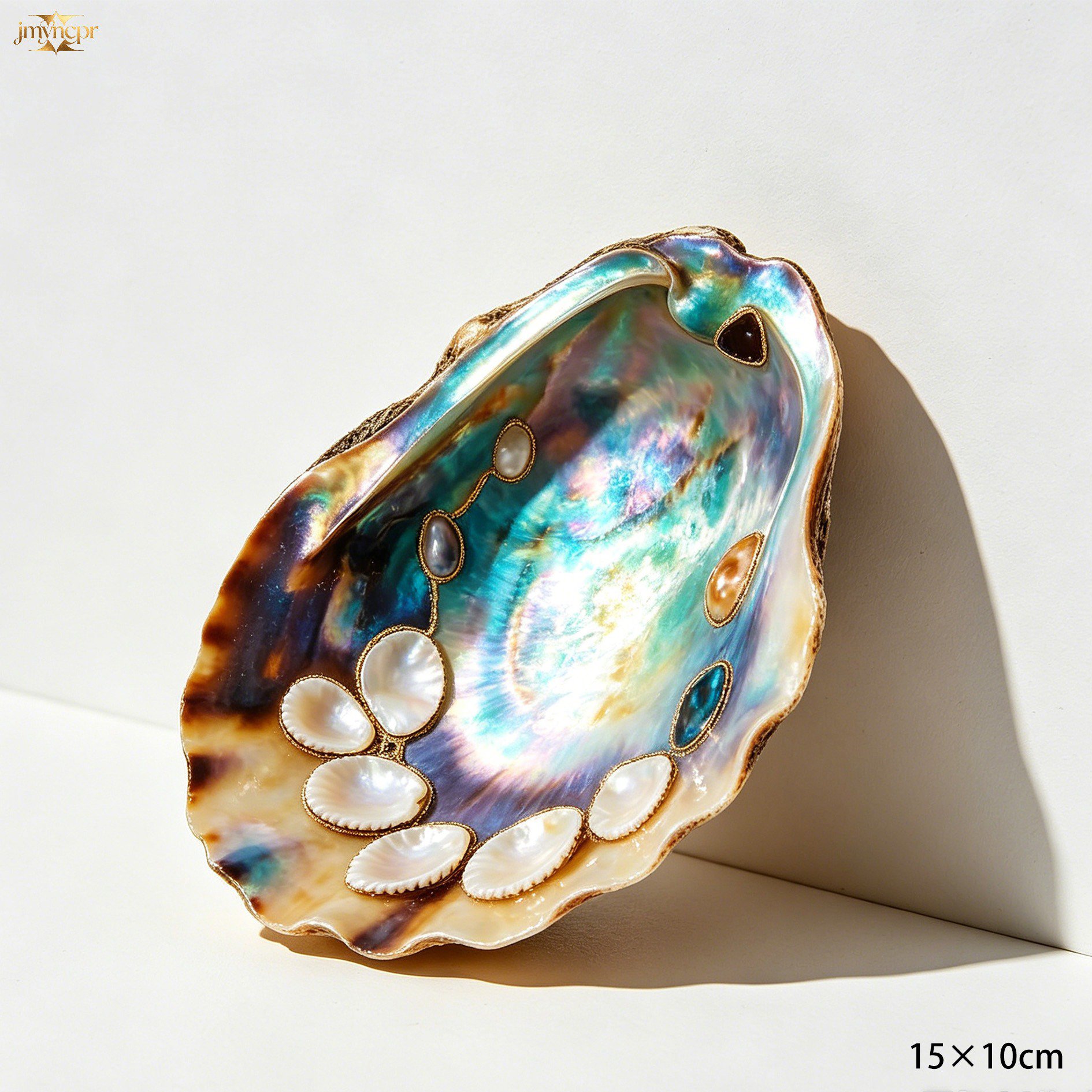 Elegant decorative plates with natural shell accents