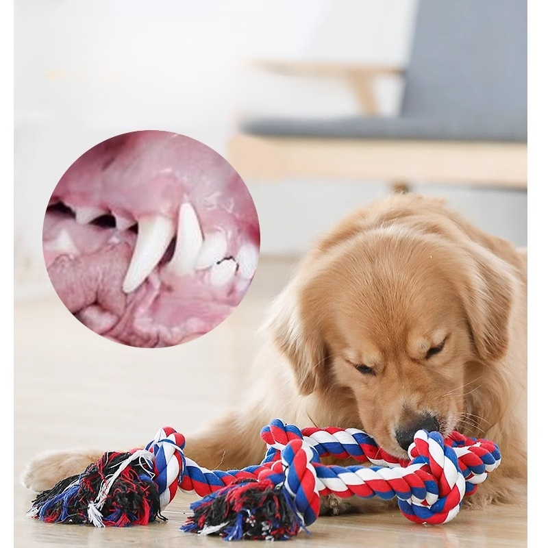 Sturdy Pet Chew Ball Pulling Toy