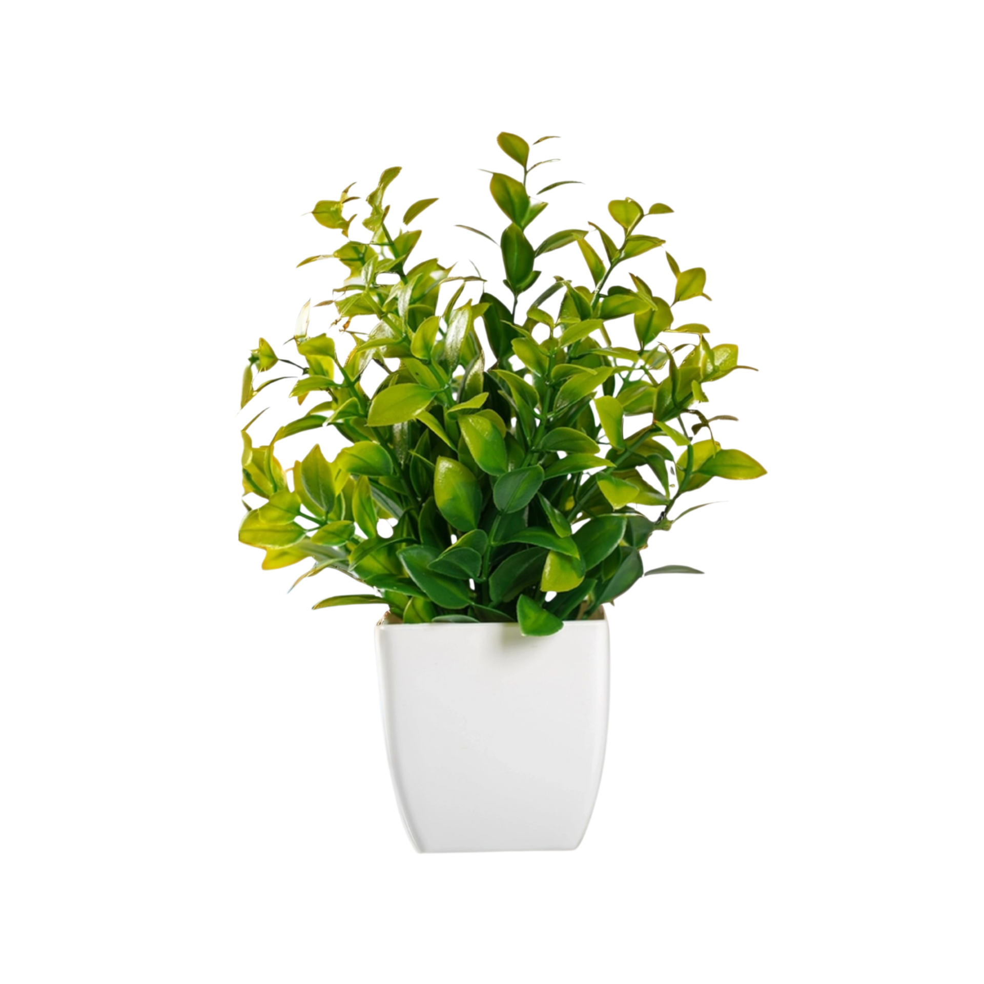 Home Decor Lavender Green Plant