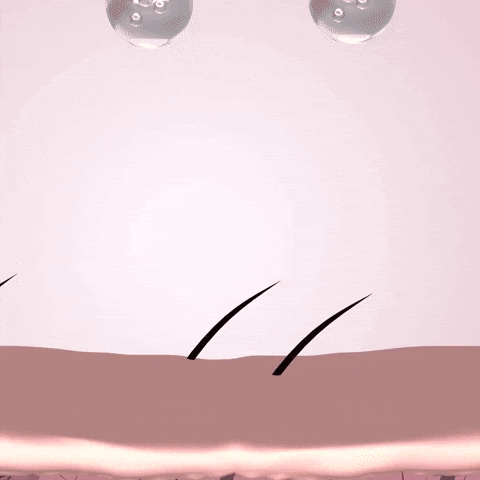 e5b6b4e42af71e23bb40bc45820bf686.gif