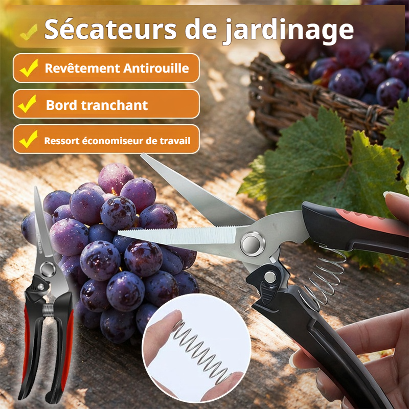 Sécateur de jardinage à effet de levier