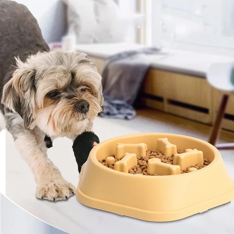 Automatic slow feed pet bowl