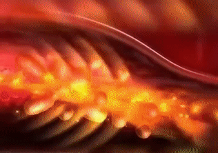 视频 (1).gif