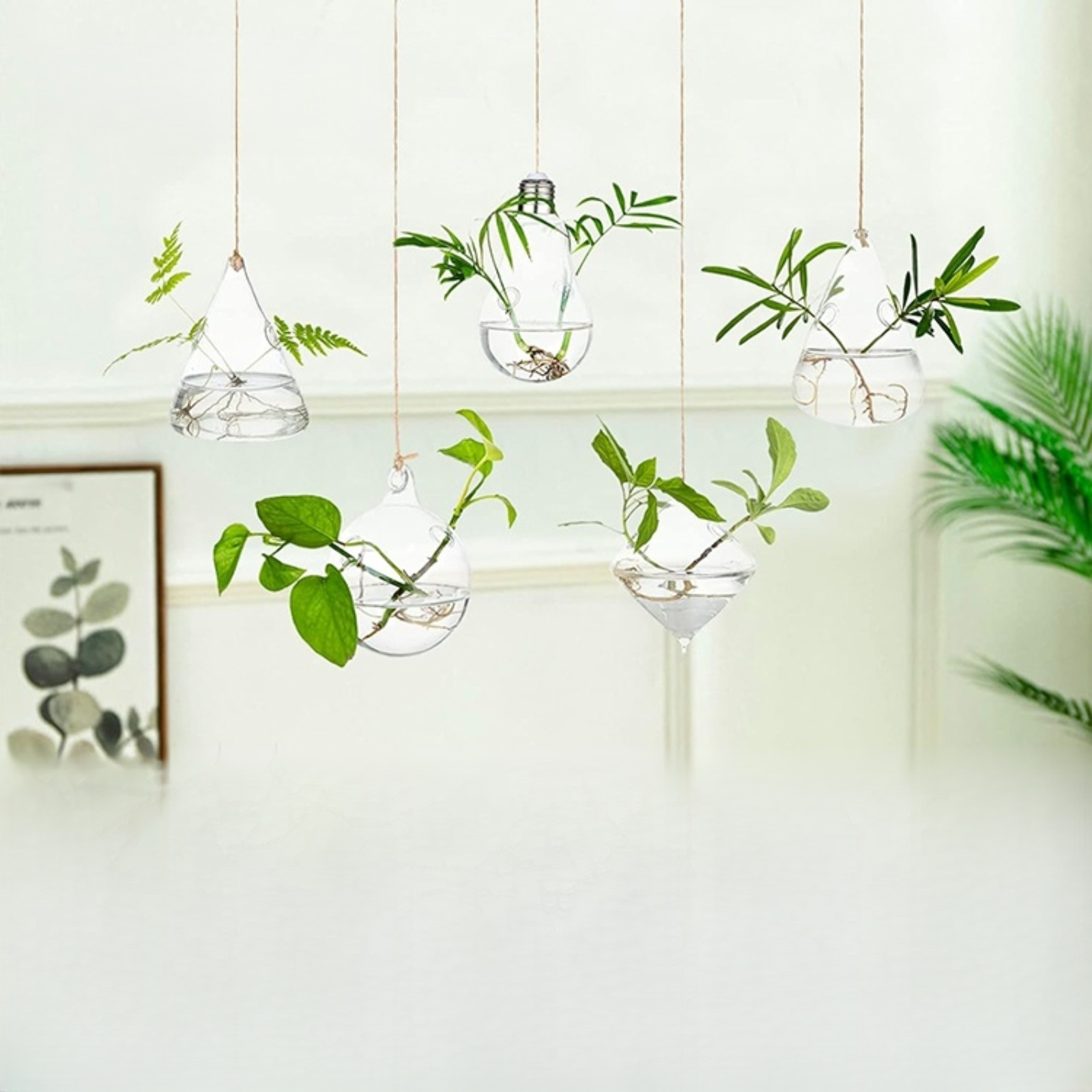 Récipient suspendu pour fleurs hydroponiques