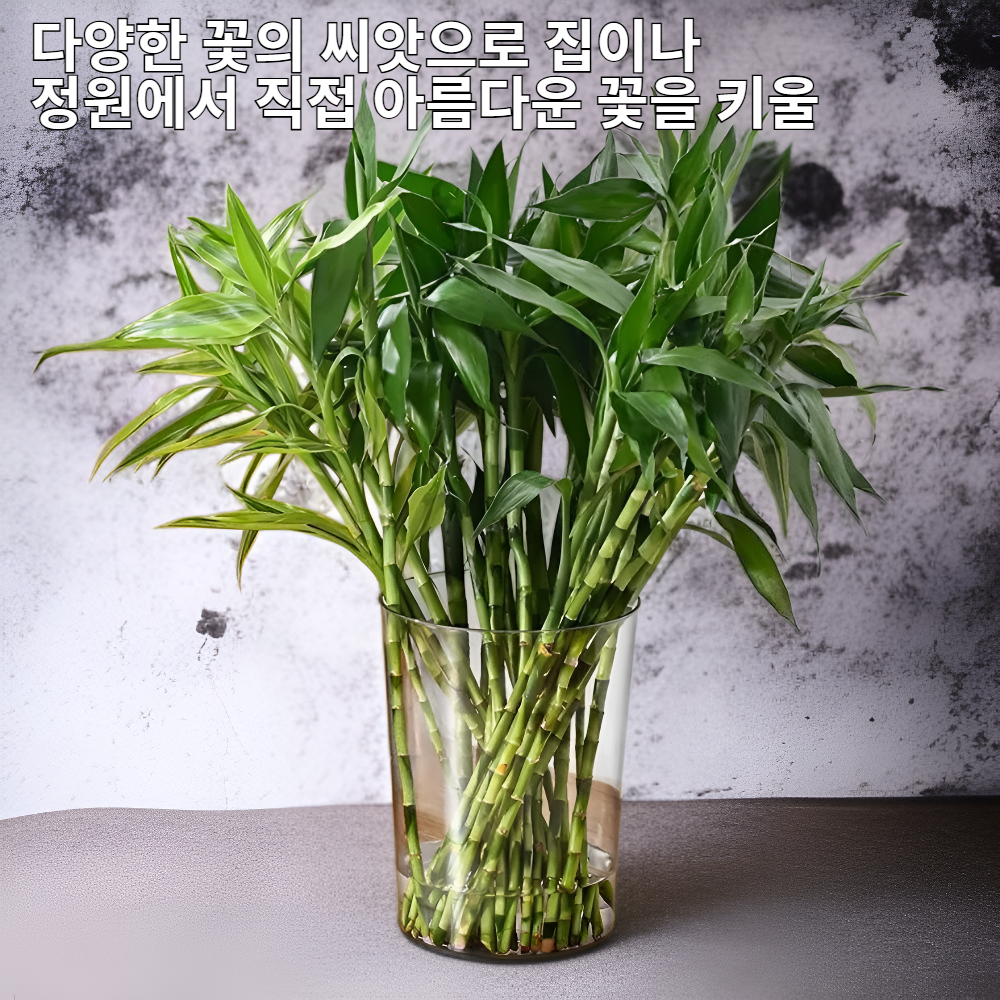 다양한 꽃의 씨앗