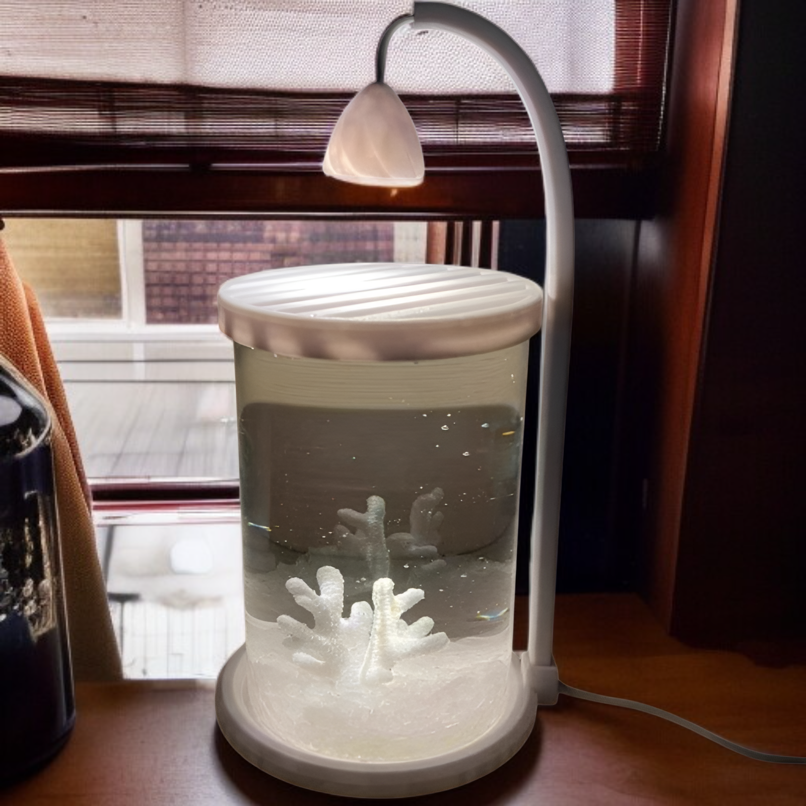 창의적 데스크탑 수족관